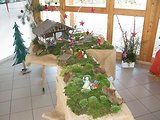 Bayerischer Wald