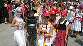 Bayerischer Wald
