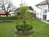 Bayerischer Wald