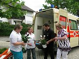 Bayerischer Wald