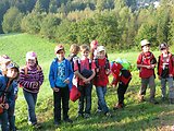 Bayerischer Wald