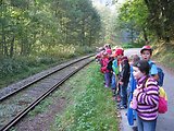 Bayerischer Wald