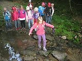 Bayerischer Wald