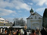 Bayerischer Wald