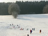 Bayerischer Wald