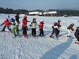 Bayerischer Wald