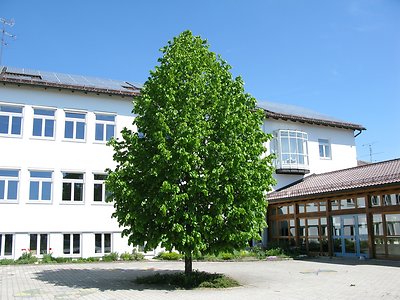 Bayerischer Wald